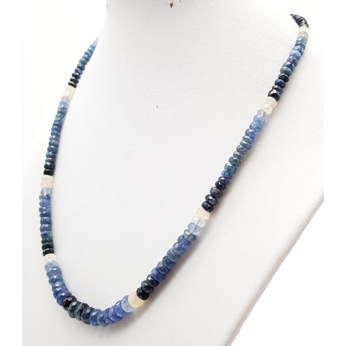 846 - A Single strand Shaded Blue Sapphire Necklace. 44cm.