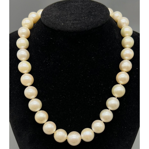 146 - A Natural White Pearl Bead Choker Necklace with 18K White Gold Ball Clasp. 12mm pearls. 40cm.