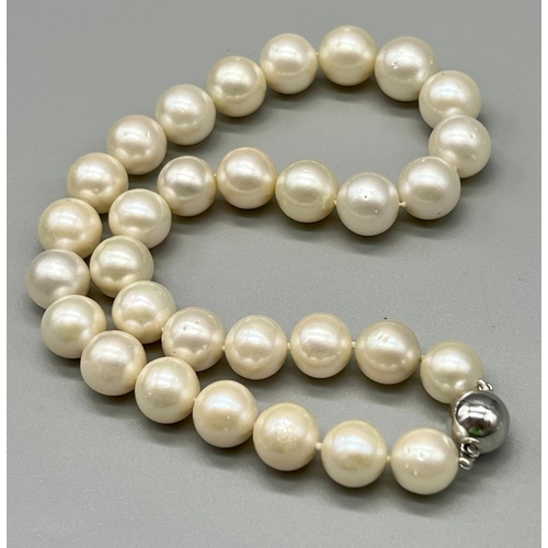 146 - A Natural White Pearl Bead Choker Necklace with 18K White Gold Ball Clasp. 12mm pearls. 40cm.