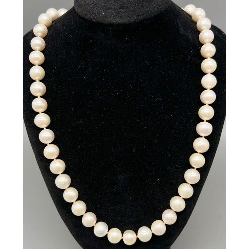 503 - A Natural White South Sea Pearl Necklace with an 18K White Gold Ball Clasp. 10mm beads. 54cm. 93.5g ... 