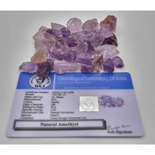 925 - 310.70 Ct Rough Amethyst Lot, GLI Certified