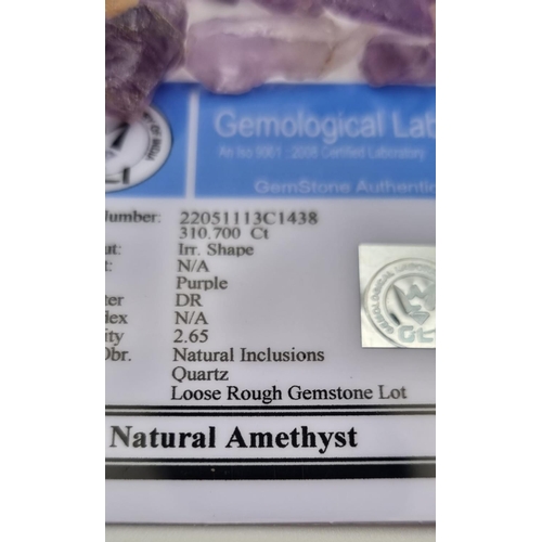 925 - 310.70 Ct Rough Amethyst Lot, GLI Certified