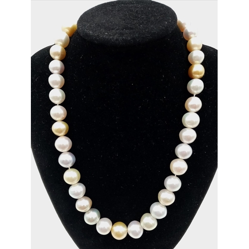 423 - A SINGLE ROW STRING OF PEARLS NECKLACE WITH 
 VIBRANT YELLOW AND WHITE PEARLS.   8475