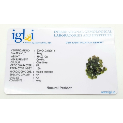 1040 - 314 Ct Rough Peridot Lot , IGL&I Certified.