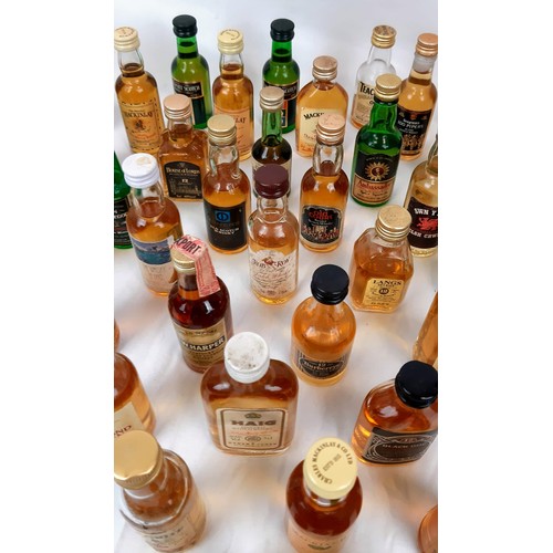 389 - A Wonderful Collection of Fifty Miniature Bottles of Whisky. All are unopened  - some are rare. Plea... 