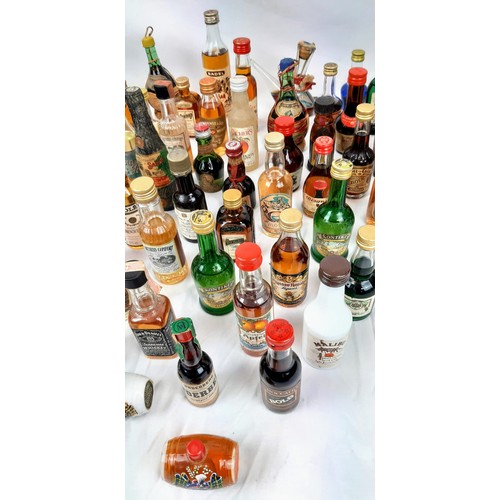 258 - A Miniature Alcohol Bottle Collectors Dream! A Kaleidoscope of alcoholic flavours in over fifty mini... 