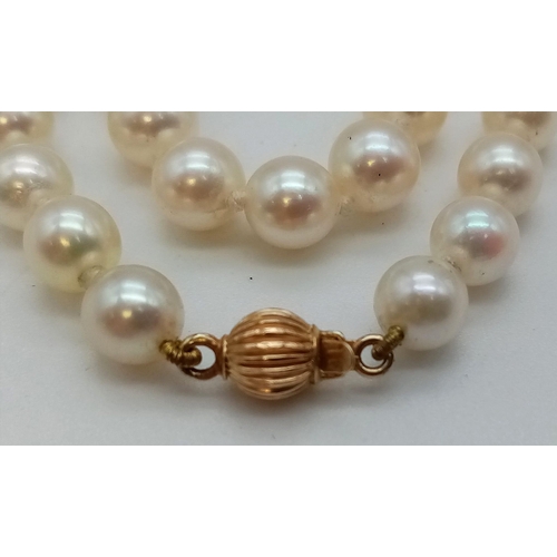 346 - A Vintage Natural High-Quality Pearl Necklace with 18k Gold Clasp. 42cm.