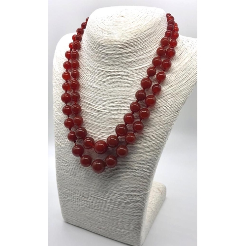 116 - A Fire Autumn Agate Graduated Two-Row Bead Necklace.
14mm largest bead. 42-46cm.