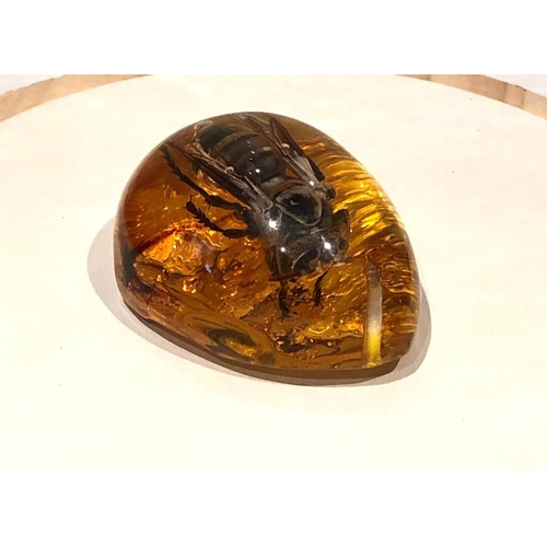 293 - A Large Hornet Trapped in an an Amber-Coloured Resin Pendant - or an interesting ornament. 6cm.