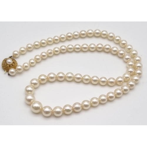 225 - A Beautiful Natural South Sea Graduated Pearl Necklace with an 18K Yellow Gold Clasp. 44cm. 31.15g t... 