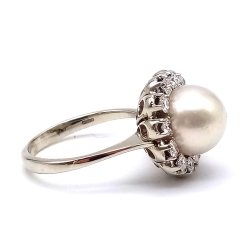 706 - An 18K White Gold Pearl and Diamond Ring. Central large natural pearl surrounded by a halo of diamon... 