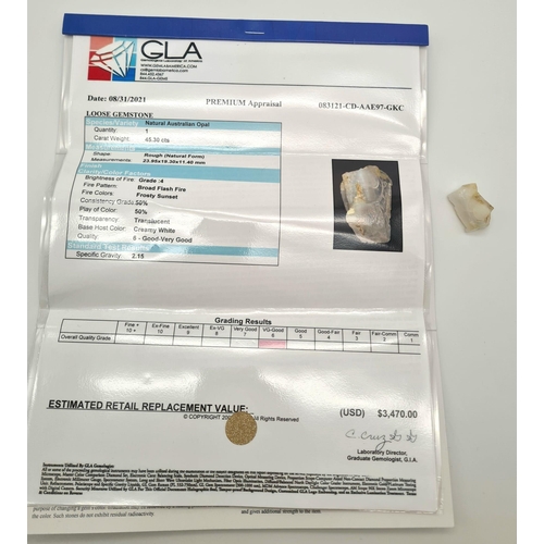 517 - A natural Australian rough opal (45.30 carats) with GLA certificate. Dimensions: 23.95 x 19.30 x 11.... 