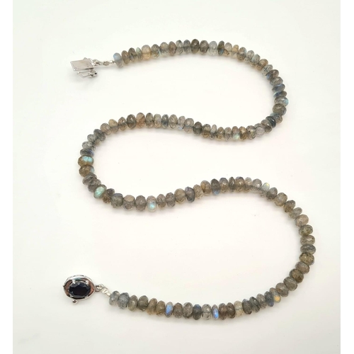 640 - 160cts Labradorite Gemstone Single Strand Necklace with Sapphire Clasp. 31.8 grams. Length: 46cm.