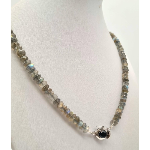 640 - 160cts Labradorite Gemstone Single Strand Necklace with Sapphire Clasp. 31.8 grams. Length: 46cm.