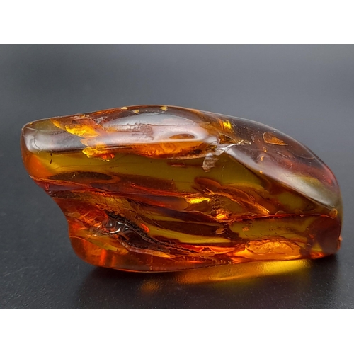 983 - A Piece of Amber with Microscopic Insect and Foliage Remains. 11.62g.