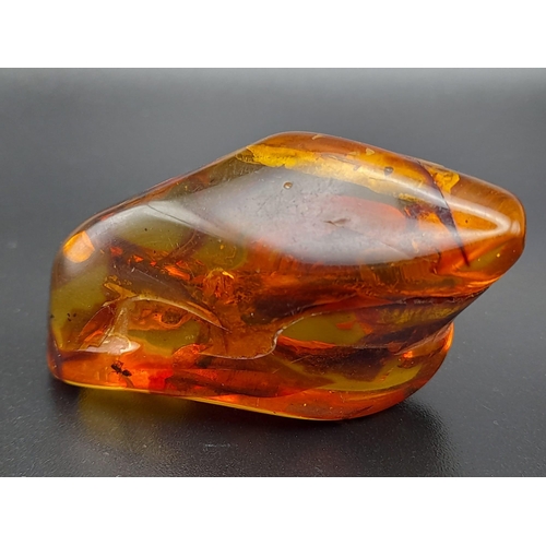 983 - A Piece of Amber with Microscopic Insect and Foliage Remains. 11.62g.