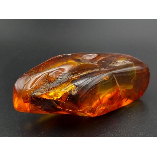 983 - A Piece of Amber with Microscopic Insect and Foliage Remains. 11.62g.