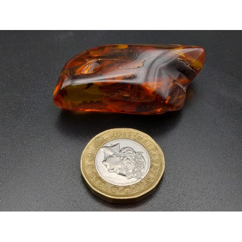 983 - A Piece of Amber with Microscopic Insect and Foliage Remains. 11.62g.