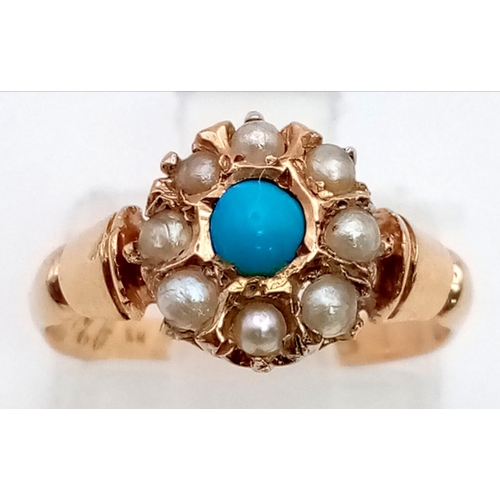 307 - AN ANTIQUE 15K GOLD SEED PEARL AND TURQUOISE CLUSTER RING .   2.2gms  size I