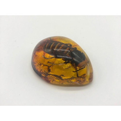 228 - A Large Hornet Trapped in an Amber-Coloured Resin Pendant - or possibly a small paperweight. 6cm