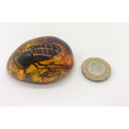 228 - A Large Hornet Trapped in an Amber-Coloured Resin Pendant - or possibly a small paperweight. 6cm