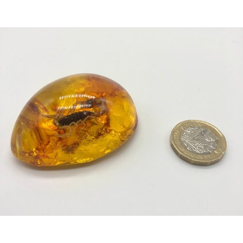 420 - A Scorpion Trapped in an Amber-Coloured Resin. Pendant or small paperweight. 6 x 4cm.