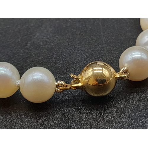 19 - An 18K Yellow Gold Necklace with 48 round Cultured Pearls. 22.59g total weight. Comes with a W.G.I. ... 