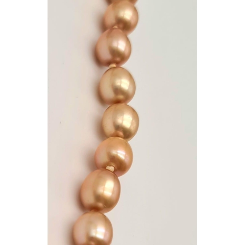 895 - A Cultured Golden Pearl Necklace. 14k yellow gold clasp.
6mm. 44cm