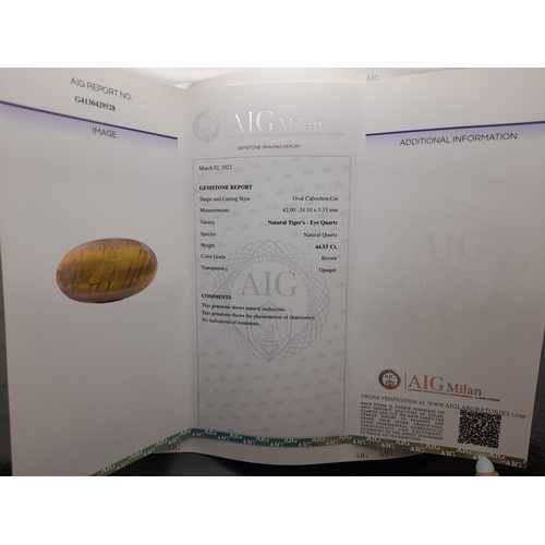 923 - An oval cabochon tiger's eye (44.53 carats) with AIG Milan certificate. Dimensions: 42.00 x 24.10 x ... 