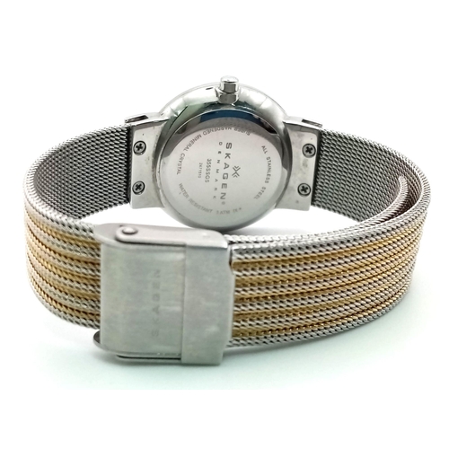 1023 - A Skagen of Denmark Ladies Watch. Two tone strap. Case - 26mm. White dial with 12 white stones and d... 