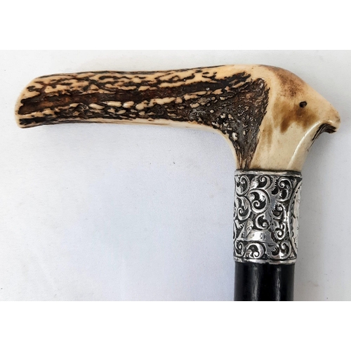 928 - Very Good Condition Antique Silver Collared Antler Handled Walking Stick. Engraved and Dated 21st Au... 