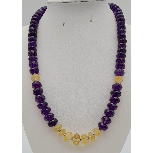 477 - A 355ct Amethyst and Citrine Gemstone Necklace, 18 inches with Amethyst Clasp in 925 Silver.