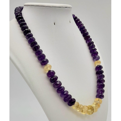 477 - A 355ct Amethyst and Citrine Gemstone Necklace, 18 inches with Amethyst Clasp in 925 Silver.