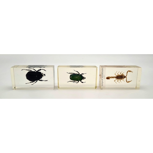 1188 - Three Insect Clear Resin Paperweights. A scorpion and two beetles. 7 x 4cm