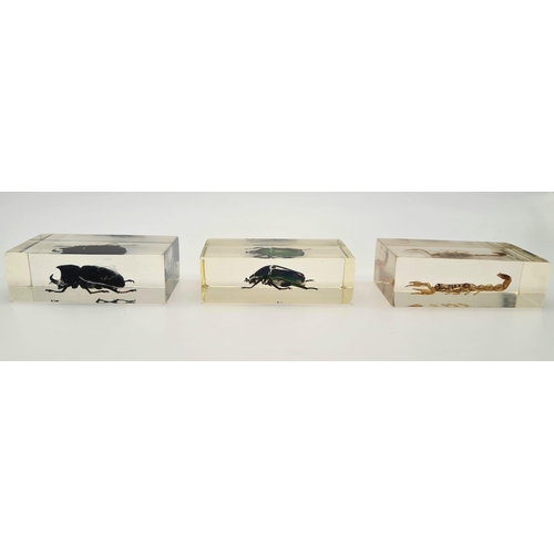 1188 - Three Insect Clear Resin Paperweights. A scorpion and two beetles. 7 x 4cm