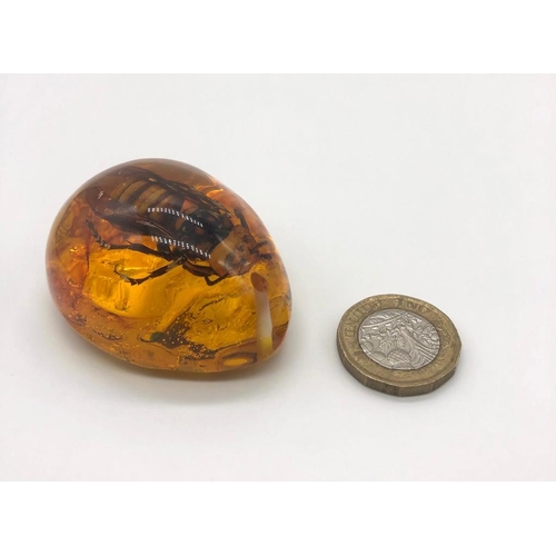 258 - A Very Large Hornet Encapsulated in an Amber-Coloured Resin. Pendant or small ornament.  6cm