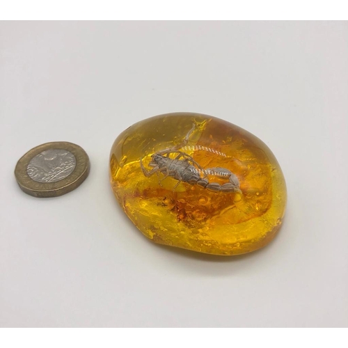 572 - A Scorpion Encapsulated in an Amber-Coloured Resin Pendant. 6cm.