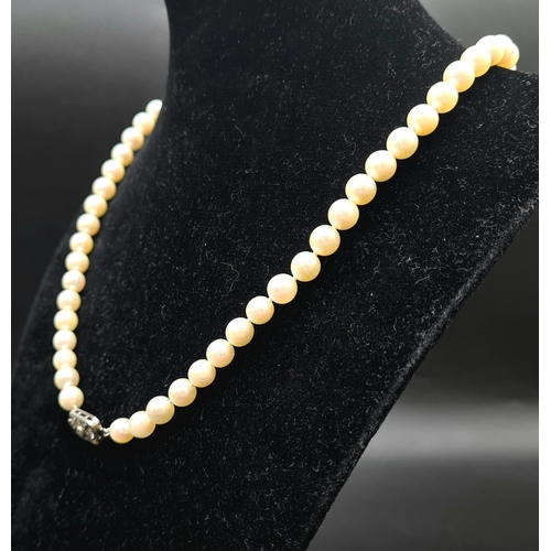 145 - A SINGLE ROW OF AKOYA GRADUATED PEARLS WITH A PLATINUM AND DIAMOND CATCH,   46cms