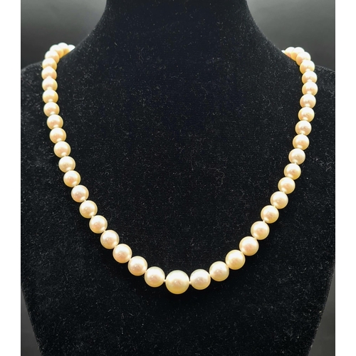 145 - A SINGLE ROW OF AKOYA GRADUATED PEARLS WITH A PLATINUM AND DIAMOND CATCH,   46cms