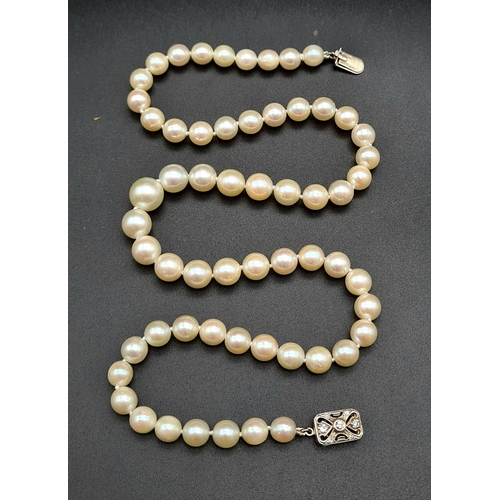 145 - A SINGLE ROW OF AKOYA GRADUATED PEARLS WITH A PLATINUM AND DIAMOND CATCH,   46cms