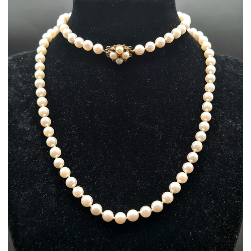 397 - A SINGLE ROW OF CULTURED PEARLS WITH 9K GOLD CLASP    68cms IN LENGTH