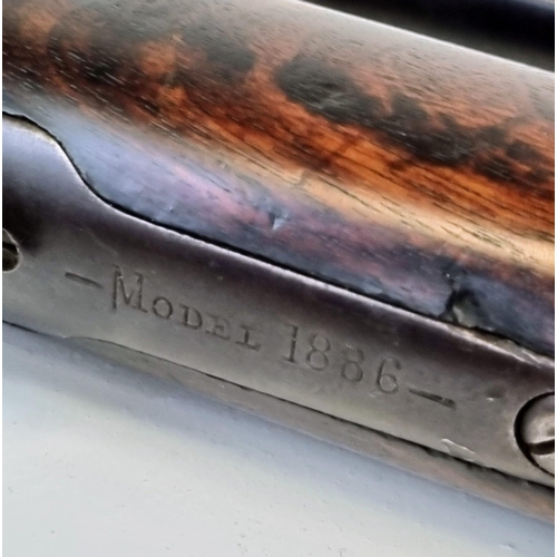 127 - A Fully Working 1894 Manufactured Winchester Model 1886 Lever Action Rifle. 40.82 calibre (obsolete)... 