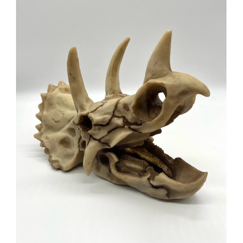 166 - A Triceratops Dinosaur Skull Model. Perfect as an ornament or education piece. Made of white resin. ... 