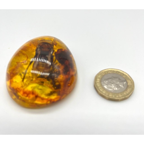 379 - A Large Hornet Encased in an Amber-Coloured Pendant.
6cm.