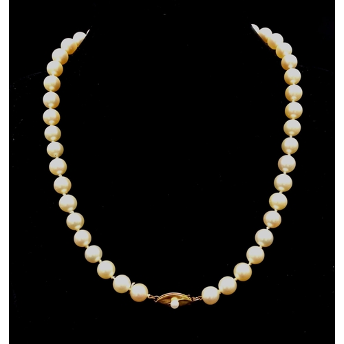 75 - A Glorious Golden South Sea Pearl Necklace with an 18K Yellow Gold Clasp. Pearls - 8mm. 38cm. 31.89g... 