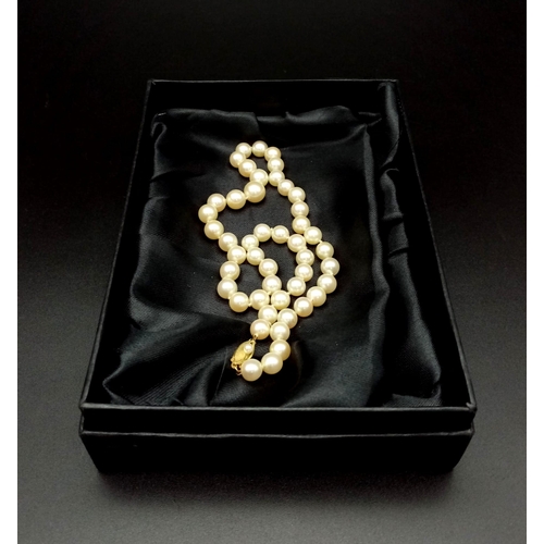 75 - A Glorious Golden South Sea Pearl Necklace with an 18K Yellow Gold Clasp. Pearls - 8mm. 38cm. 31.89g... 