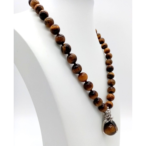 337 - A Tiger's Eye Beaded Necklace with Claw Attached Tiger's Eye Pendant. 10mm beads. 3 and 42cm.