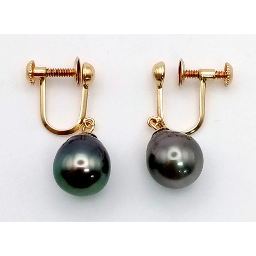 450 - A Pair of Bomber Black Pearl Earrings On 18K Yellow Gold. 4.04g total weight.