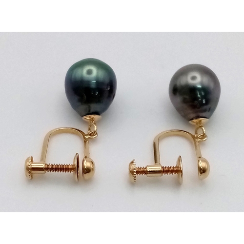 450 - A Pair of Bomber Black Pearl Earrings On 18K Yellow Gold. 4.04g total weight.