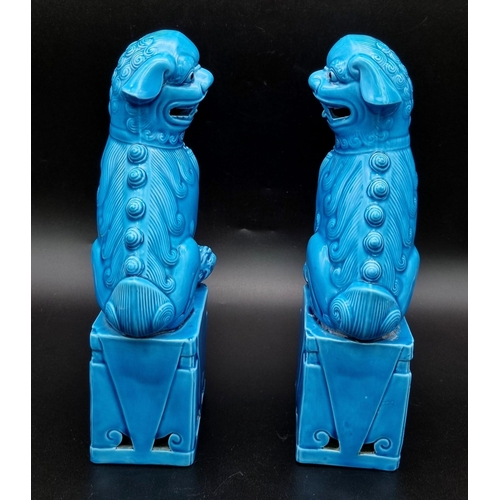 1279 - An Excellent Condition Vintage Pair of Chinese Blue Porcelain Dogs of Fo. Makers Stamp on Base. 25cm... 